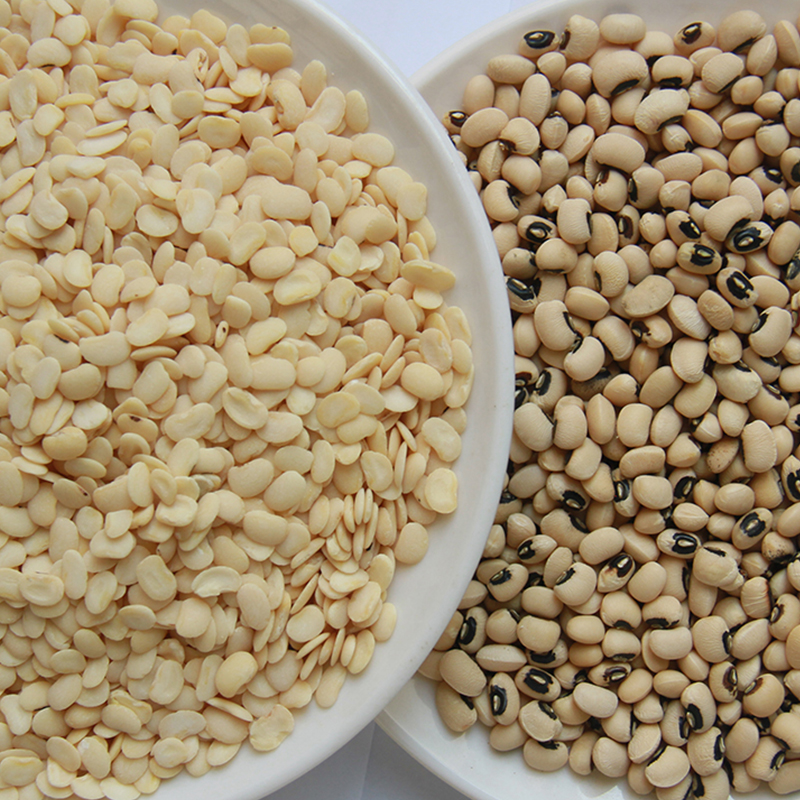 China factory direct sell lentil mung bean black eye bean dehulling machine